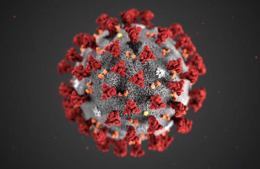 coronavirus