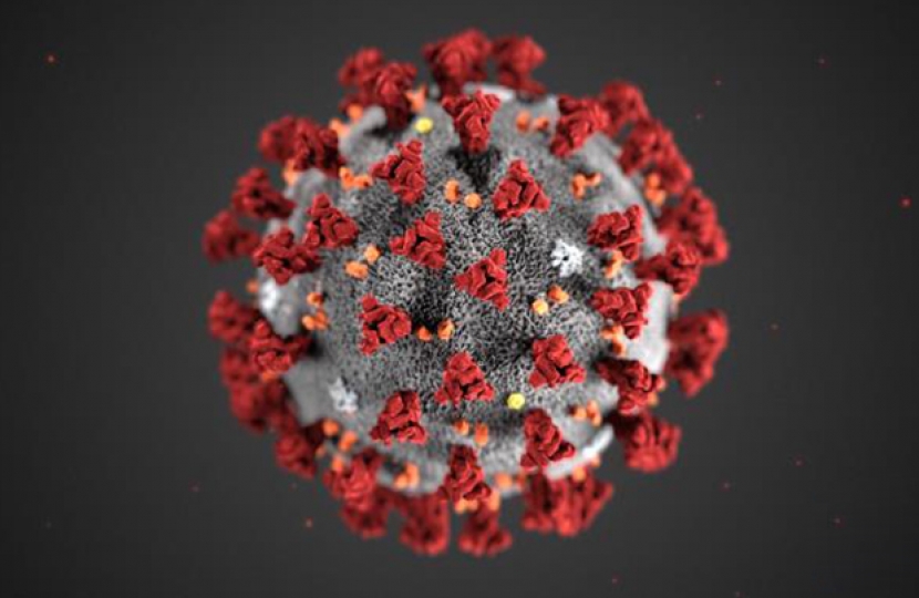 coronavirus