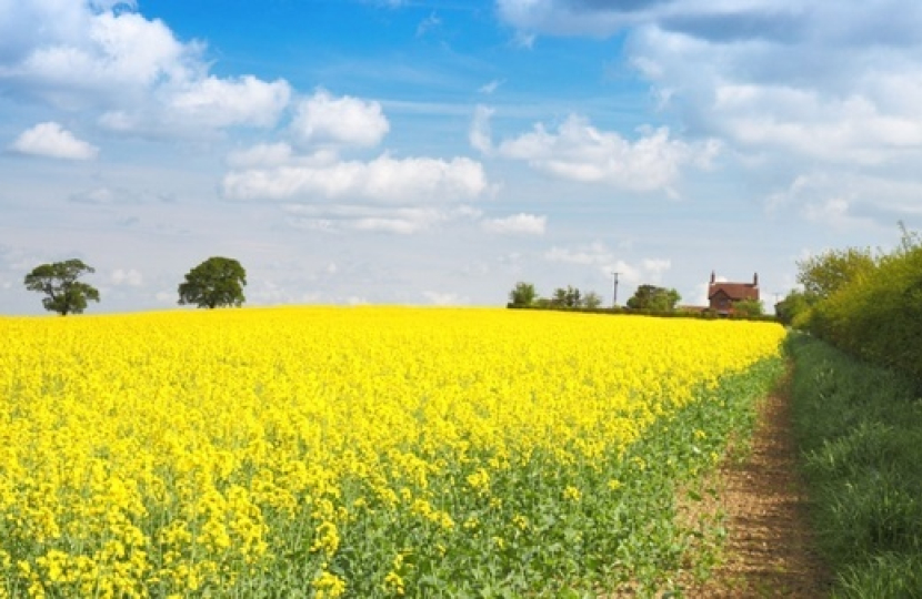farm with field image