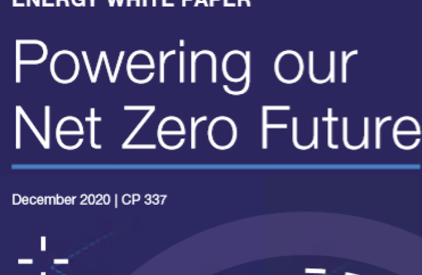 energy white paper
