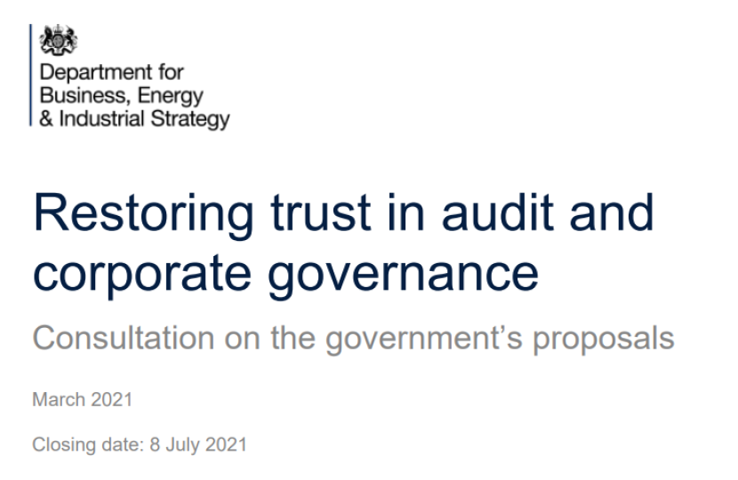 Audit Consultation