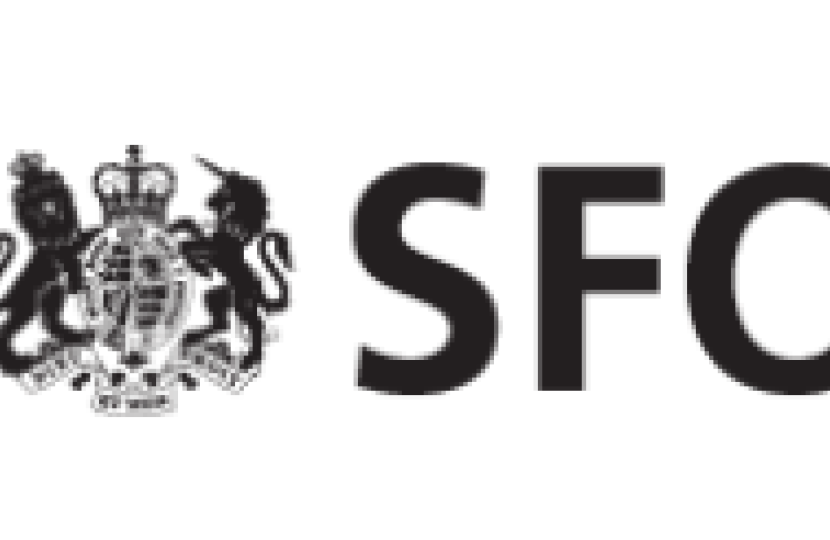 SFO3