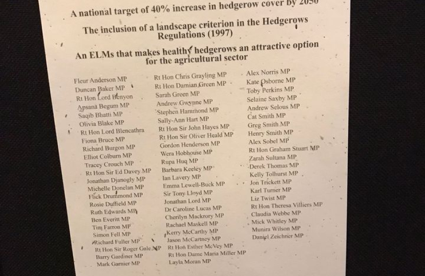Hedgerow Heroes