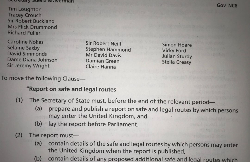 Illegal Migration Amendments