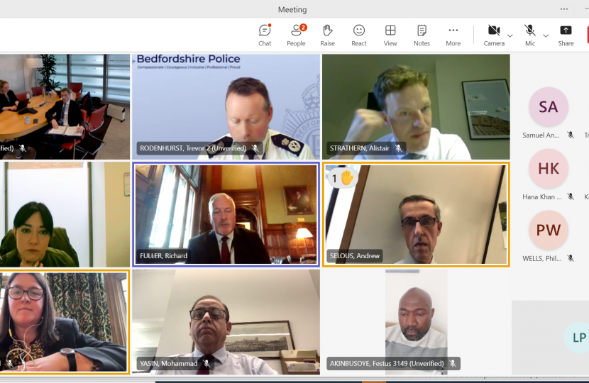 Screen shot of online meeting