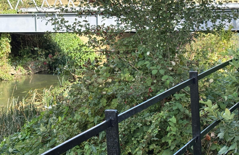 Photo of River Ivel alongside North Gate Court in Biggleswade