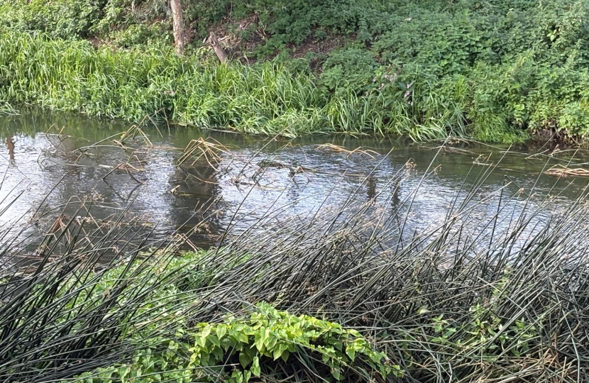 Photo of River Ivel alongside North Gate Court in Biggleswade
