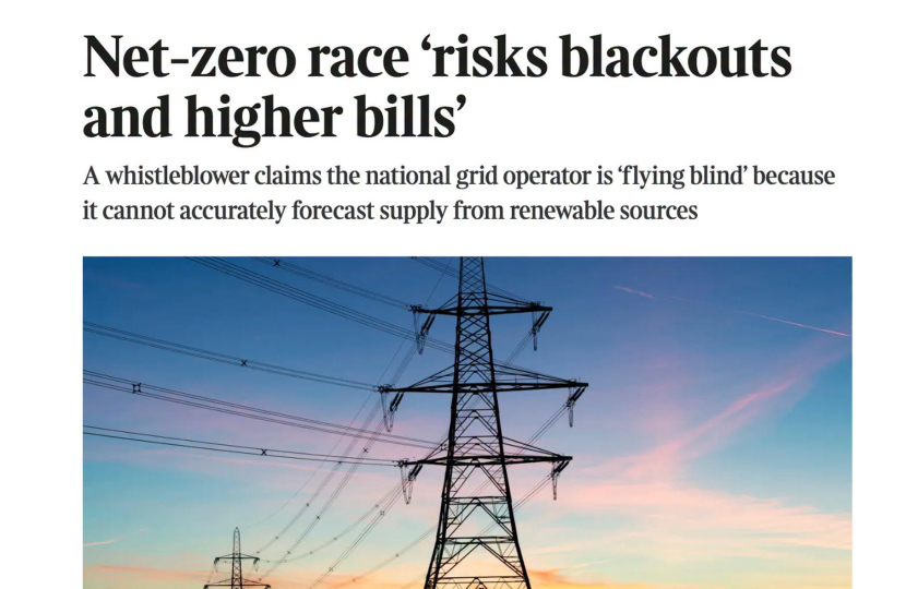 screenshot of times article