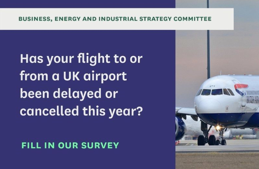BEIS flight chaos survey