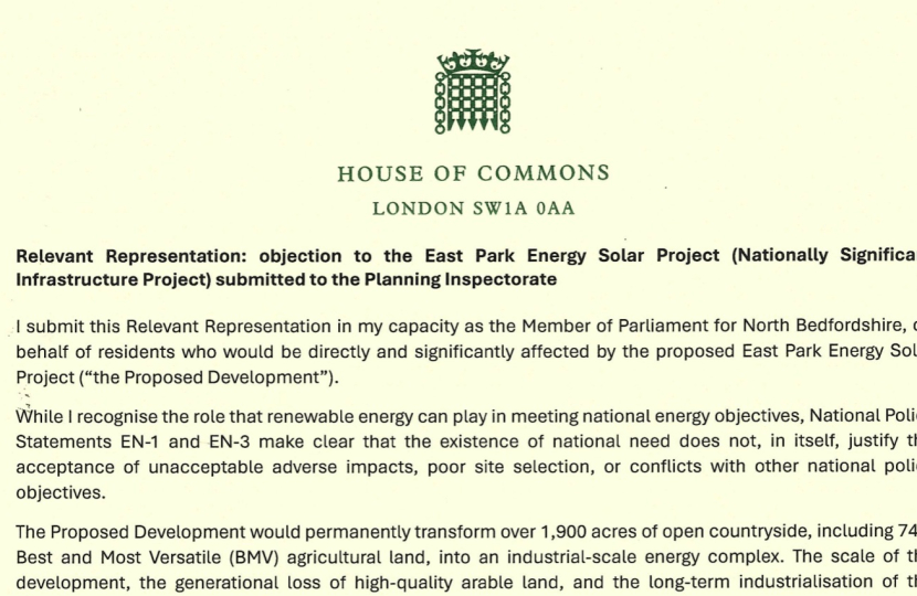 Relevant Representation