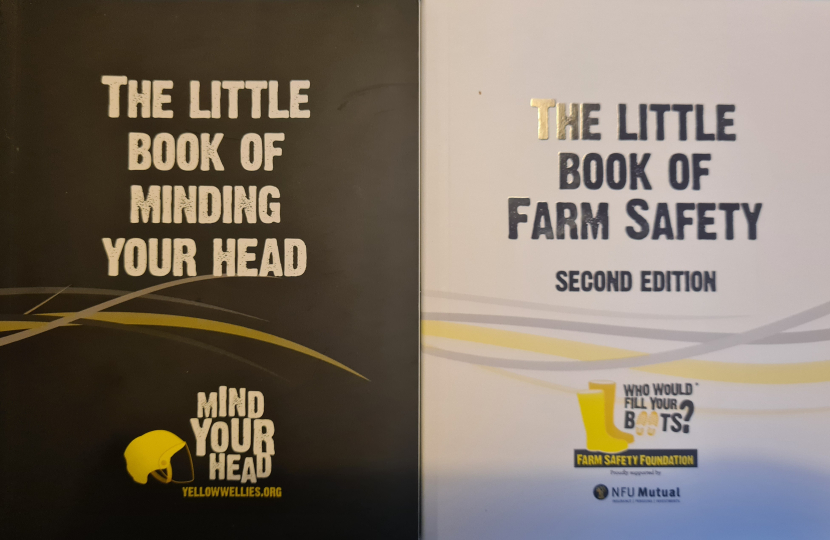 Yellow Wellies Handbooks image