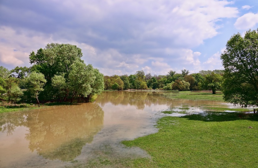 image of flooded field