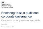 Audit Consultation