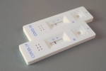 lateral flow test