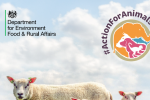 Animal Welfare Action Plan