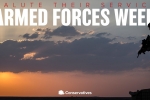 Armed Forces week