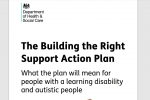 The Building the Right Support Action Plan