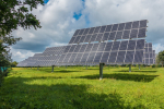 image of a solar farm