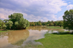 image of flooded field