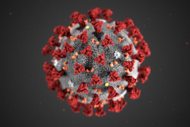 coronavirus