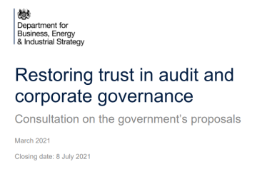Audit Consultation