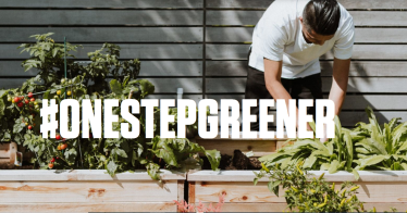 OneStepGreener