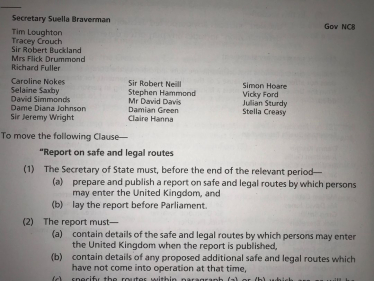 Illegal Migration Amendments