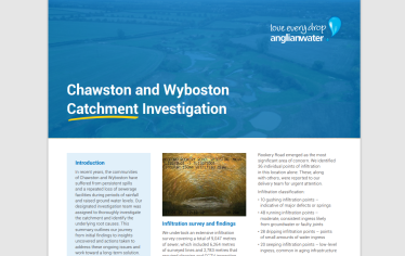 Image of Chawston & Wyboston Report