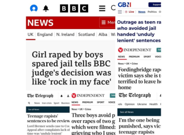 Newspaper cuttings about Fordingbridge case