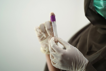 Image of blood tests