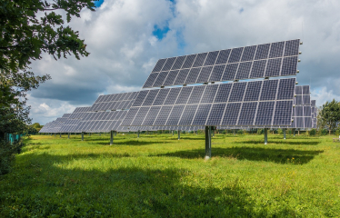 image of a solar farm